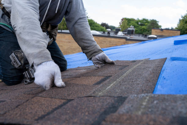 Best Roof Gutter Cleaning  in Trotwood, OH